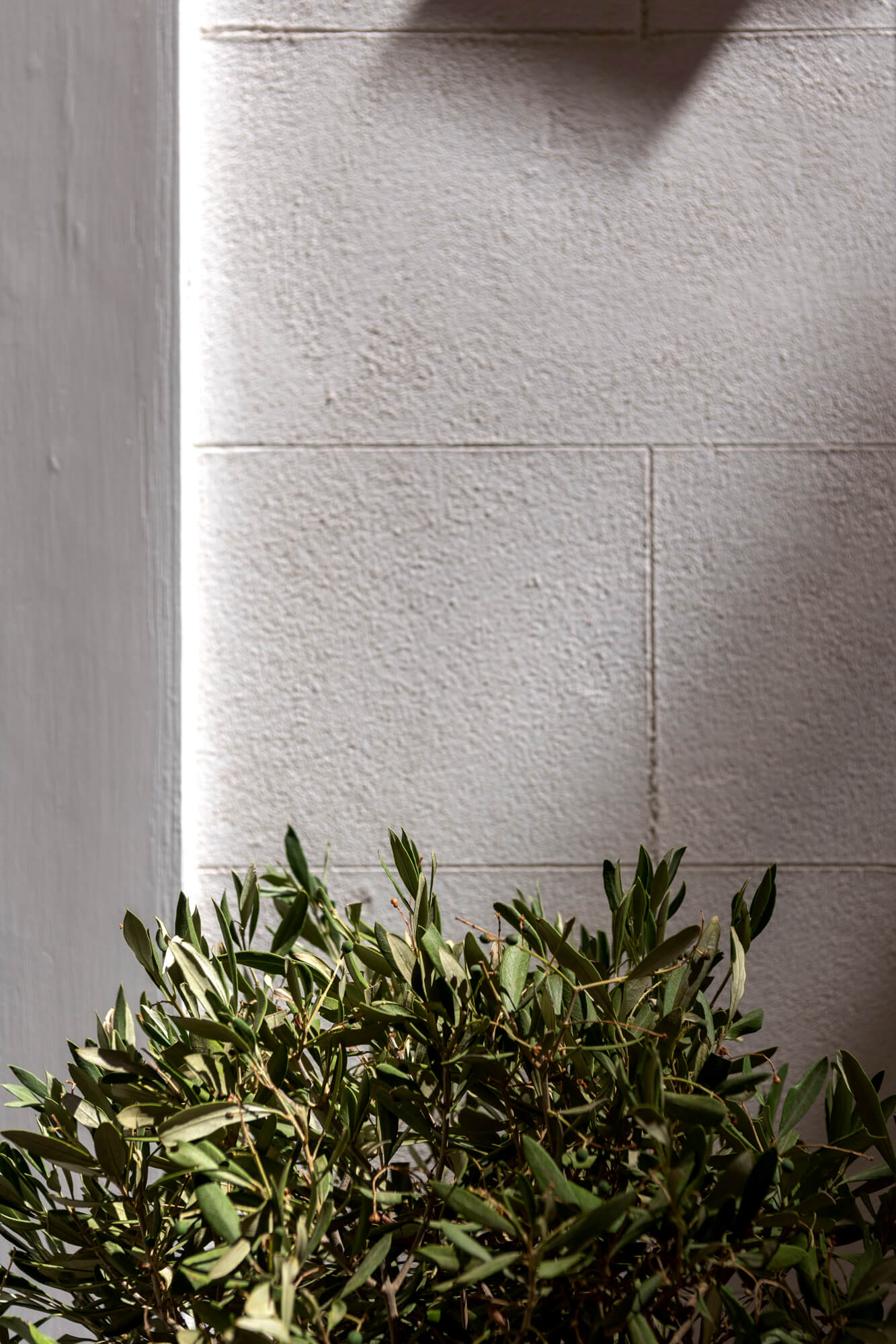 Guest House Kois Hermoupolis