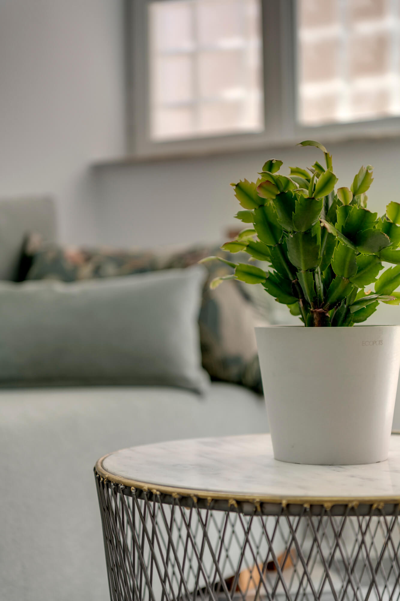 Guest House Kois Hermoupolis