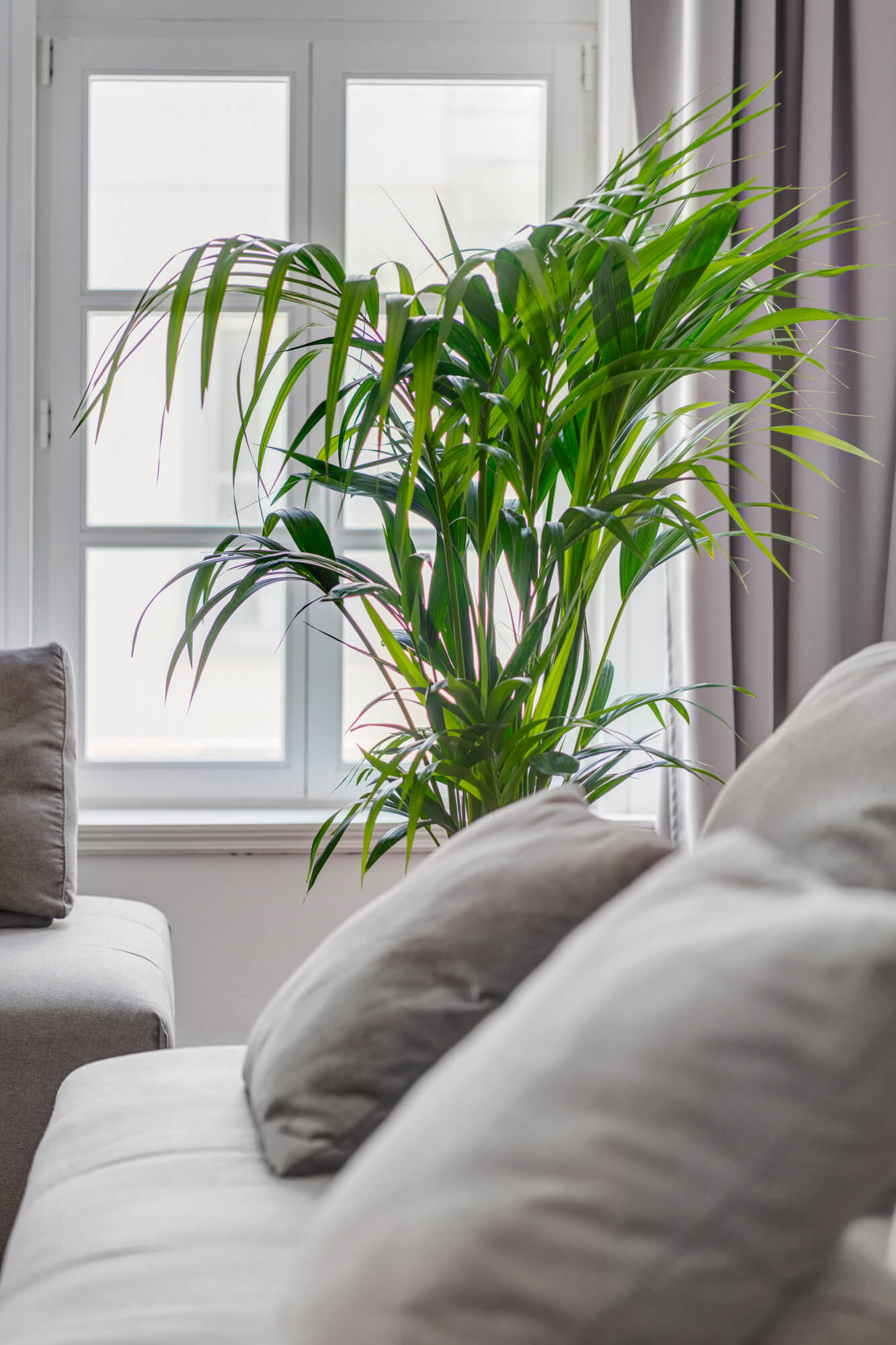 Loft Kois Hermoupolis